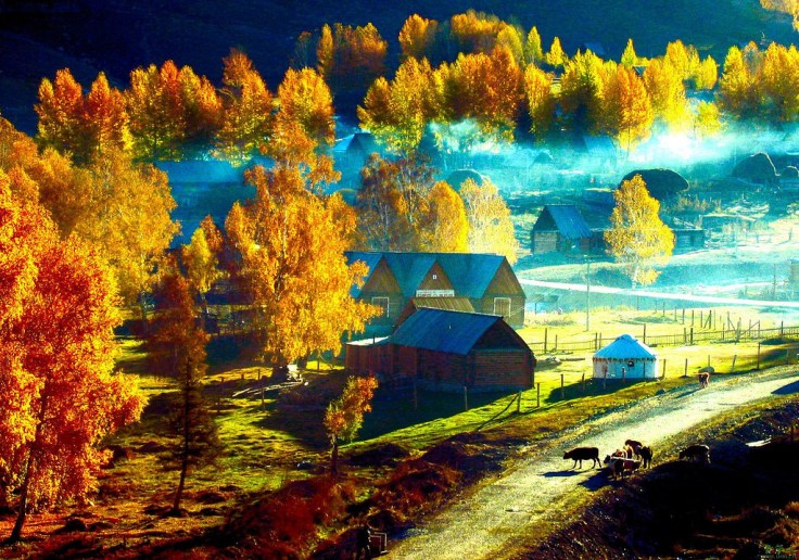 5340631949_26033f07e6_b